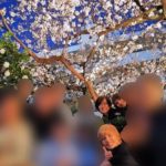 昭恵夫人花見のレストラン(都内プライベート)どこ?画像や名前(店名)や場所は?  )はどこ?画像や名前(店名)や場所は?