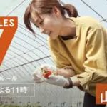 山中歩いちご農園TAROの場所や通販お取りせは?wiki経歴や旦那を調査!【セブンルール】