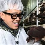 山梨河口湖町の肉厚ジャンボきくらげ通販お取り寄せ! 販売店は?【青空レストラン】